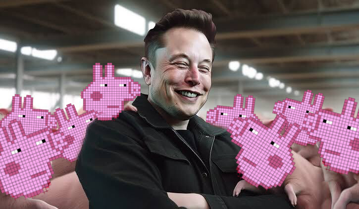 peppaBSC's tweet photo. #peppa #PeppaBSC #ElonMusk #Elon #memecoin https://t.co/jliluoHYBI