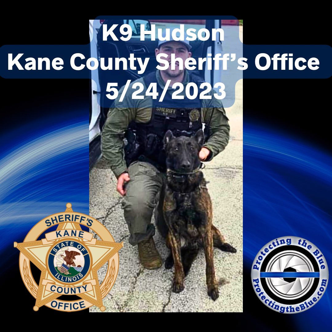 protectingblue's tweet photo. RIP.  Illinois K9 Hudson was murdered when he was shot and killed while apprehending a carjacking suspect after a pursuit. STOP SHOOTING MY POLICE OFFICERS!!! #rip #hero #murdered #K9Hudson #thinblueline #eow #KaneCountySheriffsOffice #K9Hudson #bluelivesmatter #protectingtheblue https://t.co/Ph9JqFQkwM
