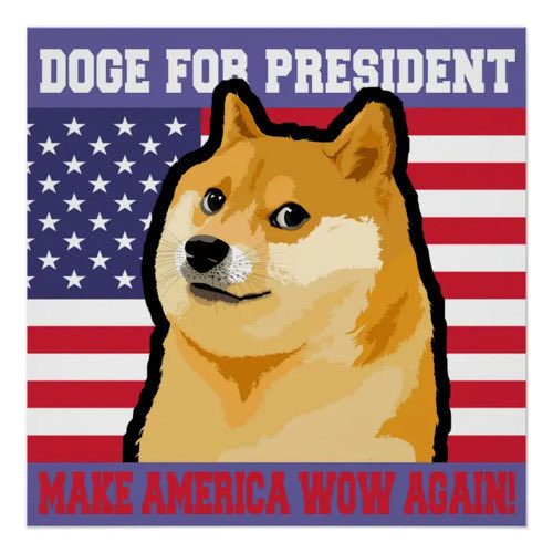 ownthedoge's tweet image. Just say when