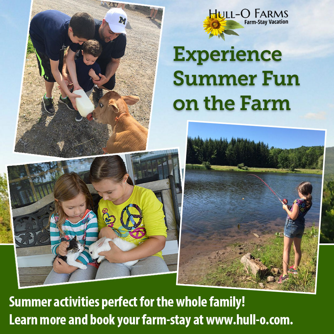 HulloFarms's tweet photo. Experience family fun at Hull-O Farms. Our summer activities here on the farm are perfect for the whole family! Plan your summer farm-stay adventure with us today! Learn more and book your stay at https://t.co/qGFNhXlPU9. https://t.co/FeW6OPvKbd