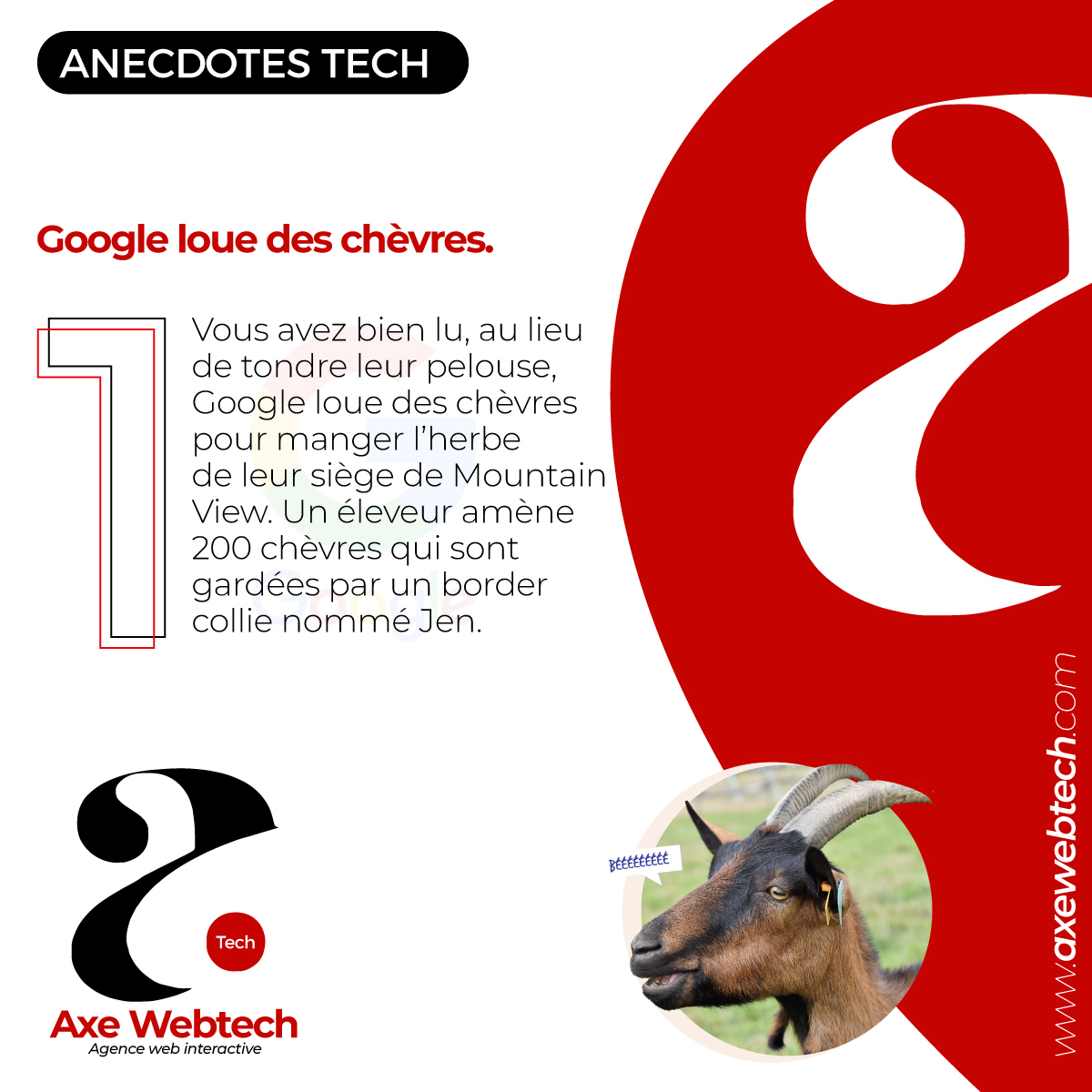 AxeWebTechok's tweet photo. Google loue des chèvres.

Vous avez bien lu, au lieu de tondre leur pelouse, Google loue des chèvres pour manger l’herbe de leur siège de Mountain View.
Un éleveur amène 200 chèvres qui sont gardées par un border collie nommé Jen. https://t.co/aYnQpnonCL
