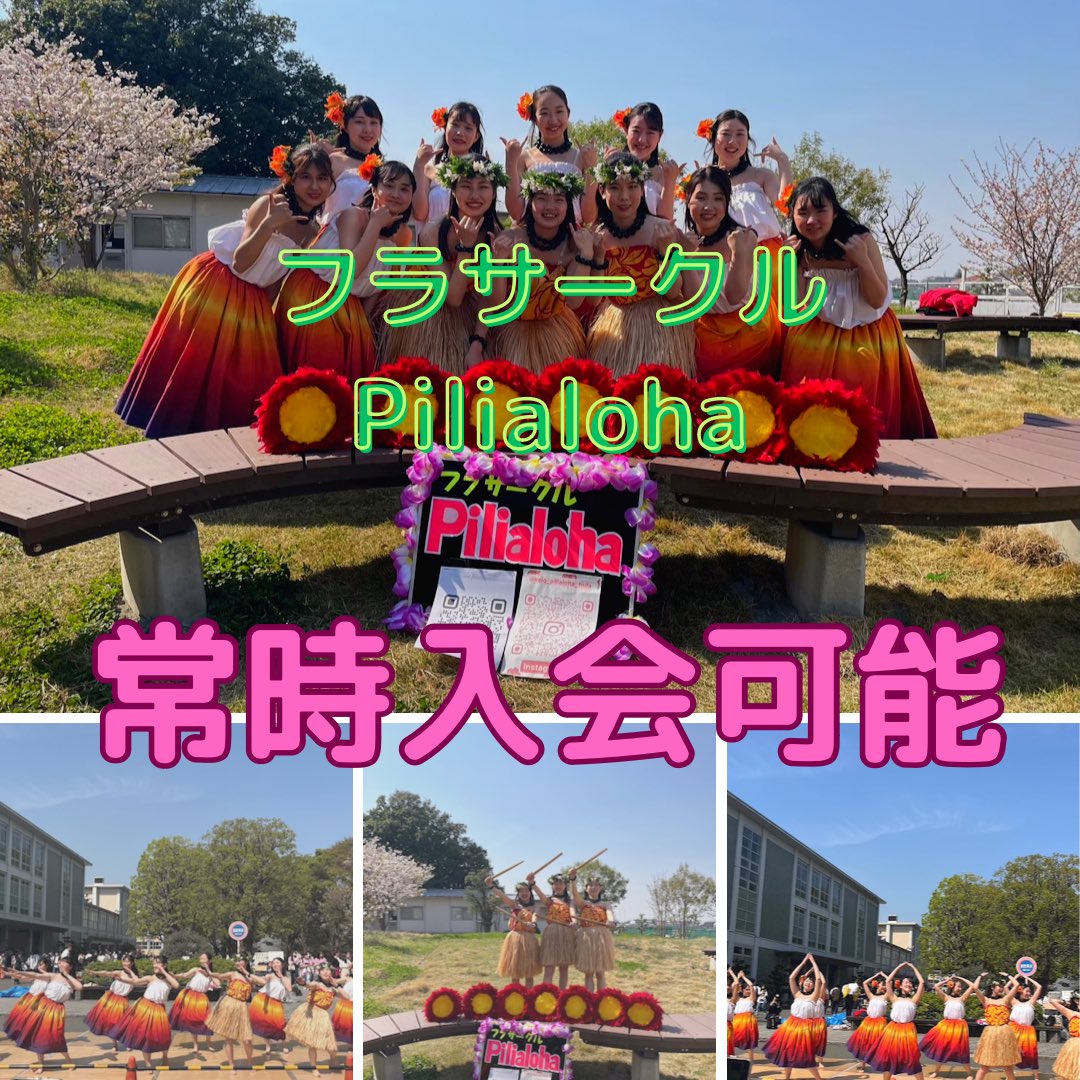 Pilialoha4's tweet photo. 体験練習参加希望である旨を送信してください☺️
(LINEを追加しても入会は強制ではありません🍀)

5月から体験練習に参加していただいた方は、新入生の初ステージである7月の七夕祭に出演可能です💕
初心者も経験者も大歓迎なので、ぜひお気軽にご参加ください🌴

#慶應 #フラダンス #ハワイ #keio https://t.co/DMzSjkkk4P