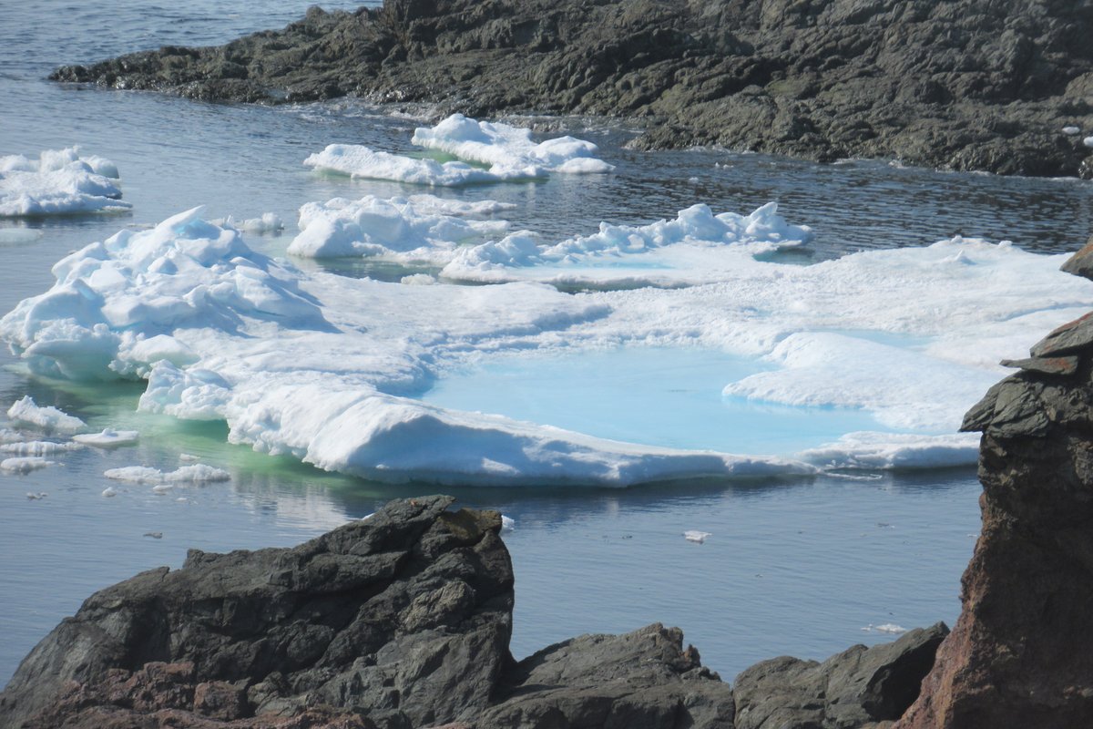 #iceberg #Twillingate #Newfoundland #NLwx #shareCanGeo #exploreNL