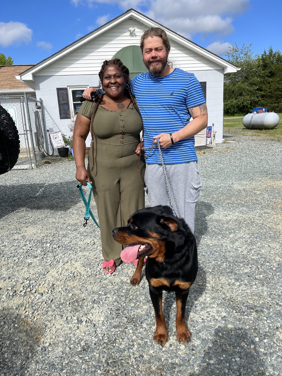 RottieHearts's tweet image. We are thrilled to say SCHMACKERS has joined a family as a foster-to-adopt!  This young man seemed to love his new family and we have high hopes this will be his forever family!  #Rottweiler #FosterToAdopt #RescueDog #Rescued #HappyLife #Introductions #RHR #CuteDog #DogLovers