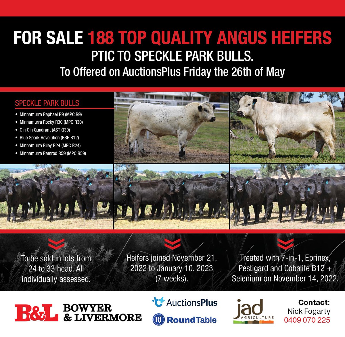 Bowyer & Livermore (@bowyerlivermore) on Twitter photo 