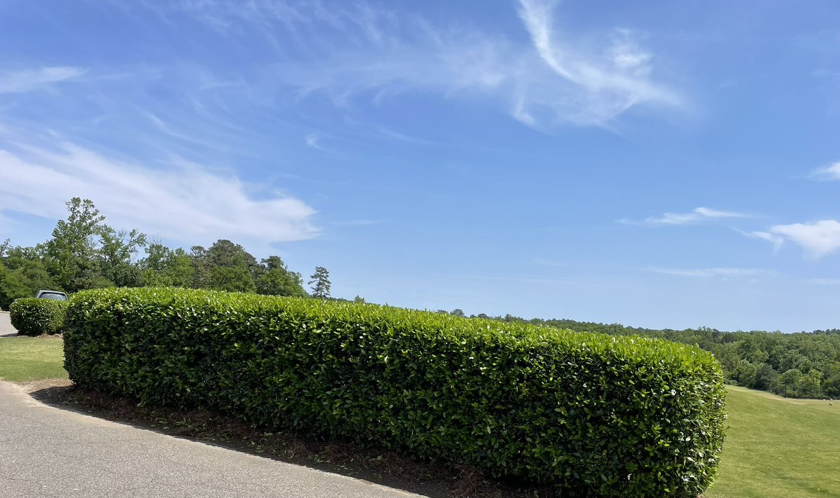 MsTurfMuscle's tweet image. This team is getting better and better each and every day and I’m such a proud assistant!  #HardWorkPaysOff #golfcourse #mowing #teamwork #turf