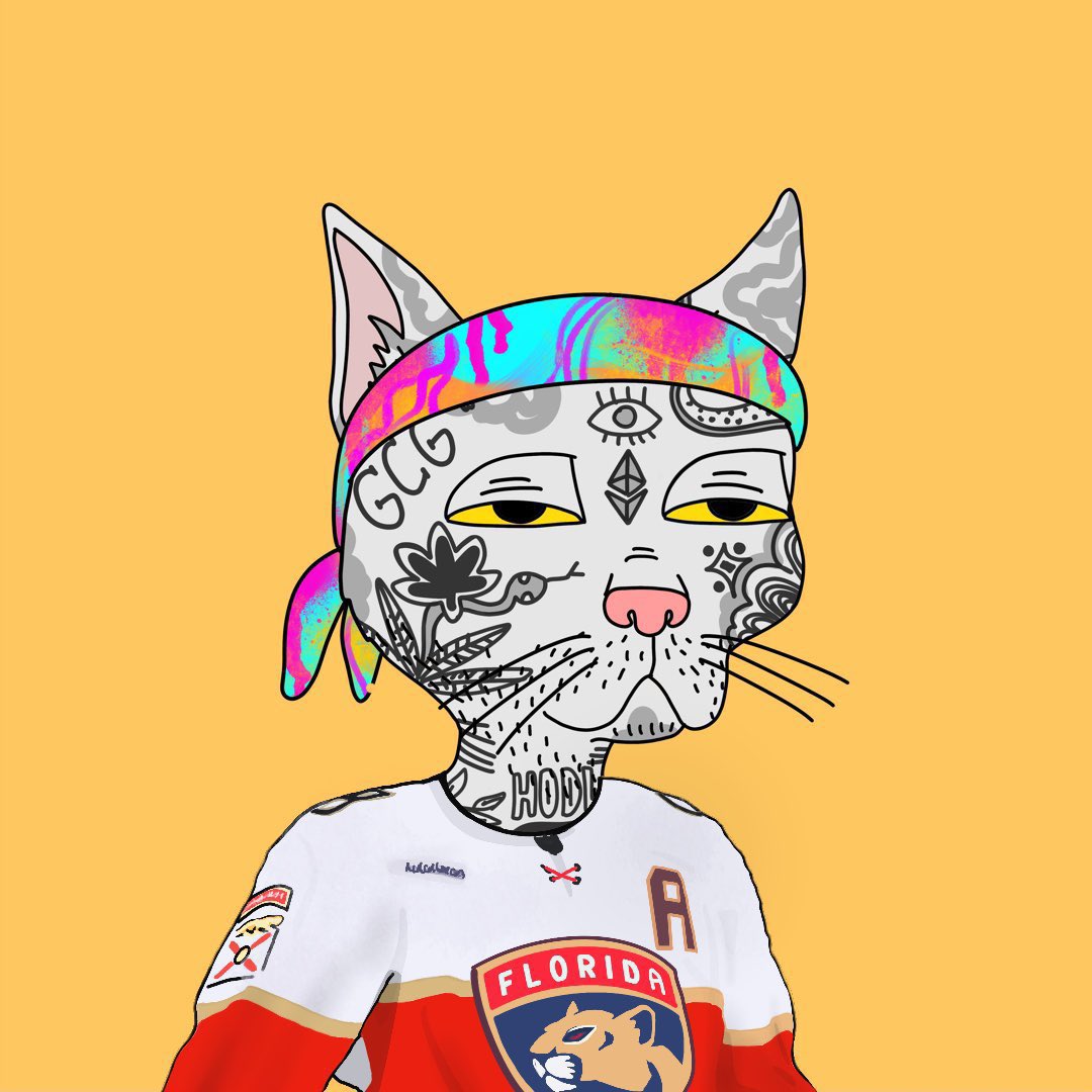 LETS GO CATS!!