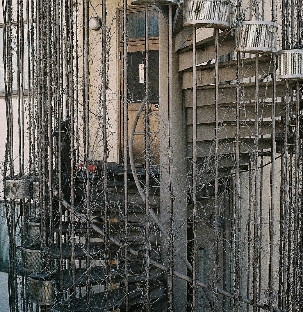 Grosses_Wasser's tweet image. #見た人もなにか無言で階段をあげる
意外に階段を撮った写真が少なかった…
#photography #RobotStar #Xenar38mm  #SUPERIAXTRA400 #フィルムカメラ #フィルム写真 #ましかく写真