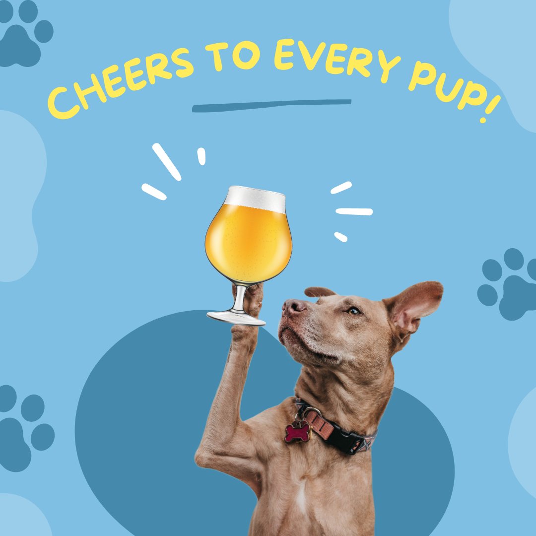 Brattleboro Brewer’s Festival tweet media