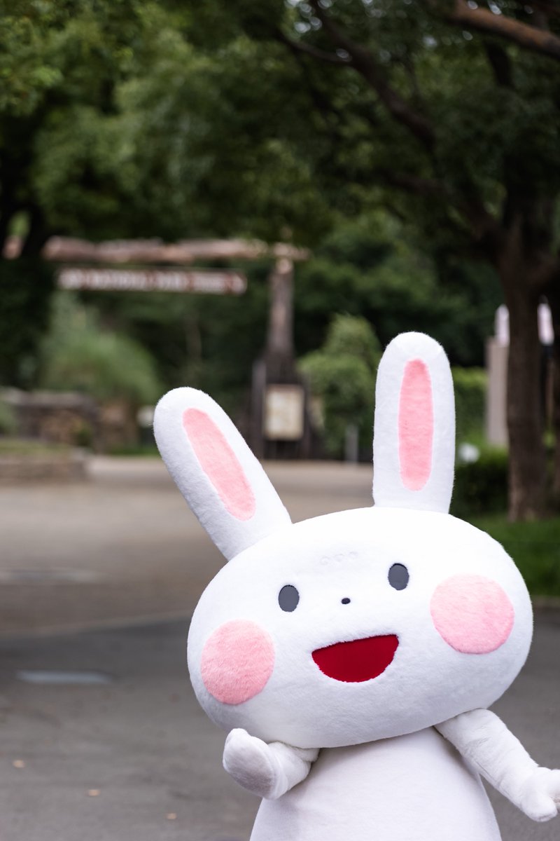 hamigakiusagi's tweet photo. おおきなおくちのカバさん💓
とってもレアなショットだよ📷
みんなみてみて♪  
#はみがきうさぎ #カムカムどうぶつえんフェスタ #カバ #天王寺動物園 
https://t.co/1CkWifYJn6 https://t.co/2qMOsIgrIa