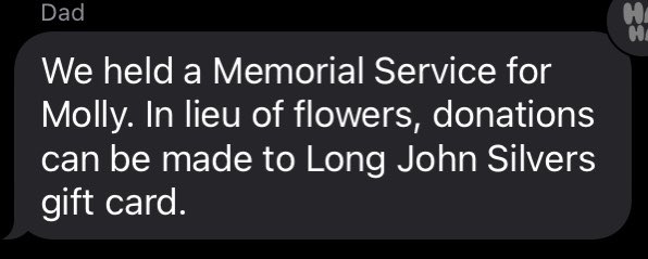 oofta69's tweet photo. How my parents let the family know about one of their pet fish dying: https://t.co/Np6uEaQkEt