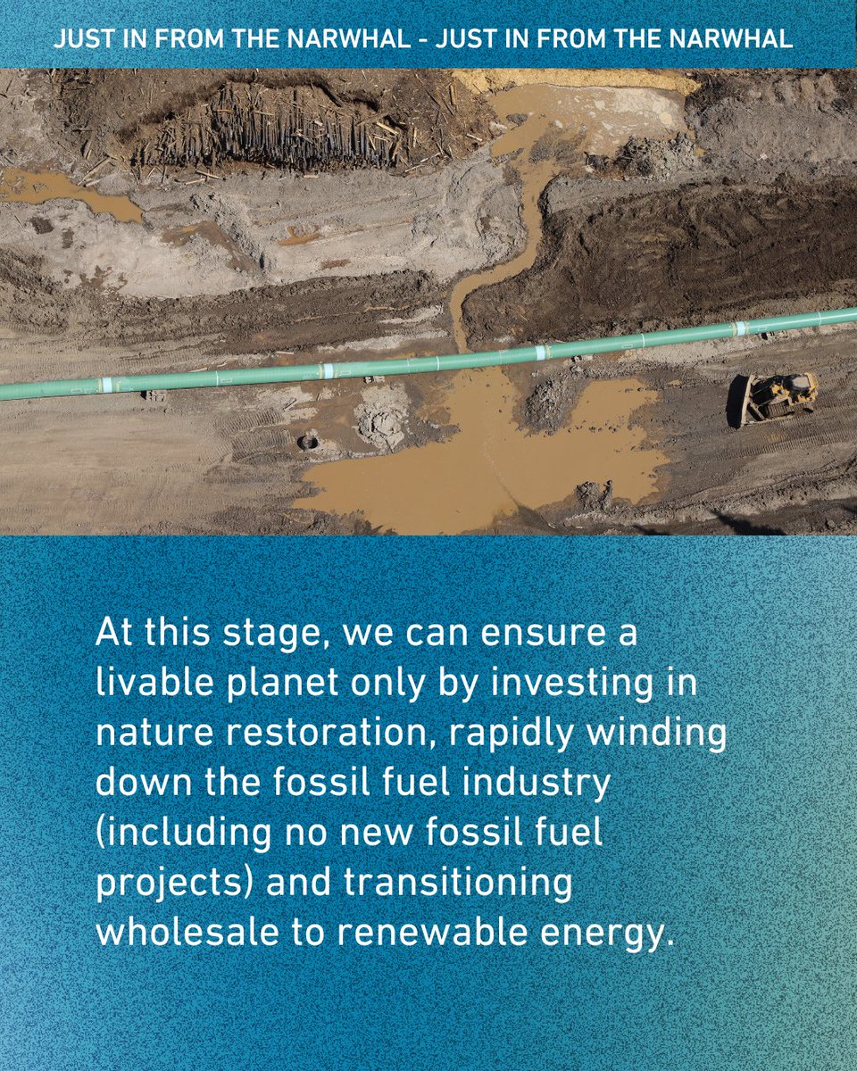 DavidSuzukiFDN's tweet photo. This latest story from @thenarwhalca details a recent Indigenous-led monitoring flight over the pipeline route, offering views of "heartbreaking" sediment spills into Wet'suwet'en waters, slope failures and flooded worksites.

Read more: https://t.co/qiCoaTdodB https://t.co/xgflEOkxAk