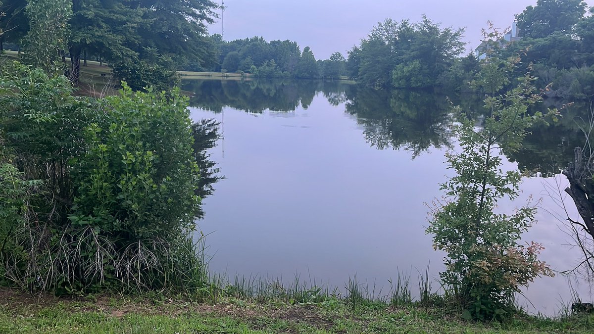 👉𝐔𝐒𝐀𝐁𝐨𝐫𝐧𝐞𝐌𝐚𝐥𝐞👈 “David” (@usabornemale) on Twitter photo 