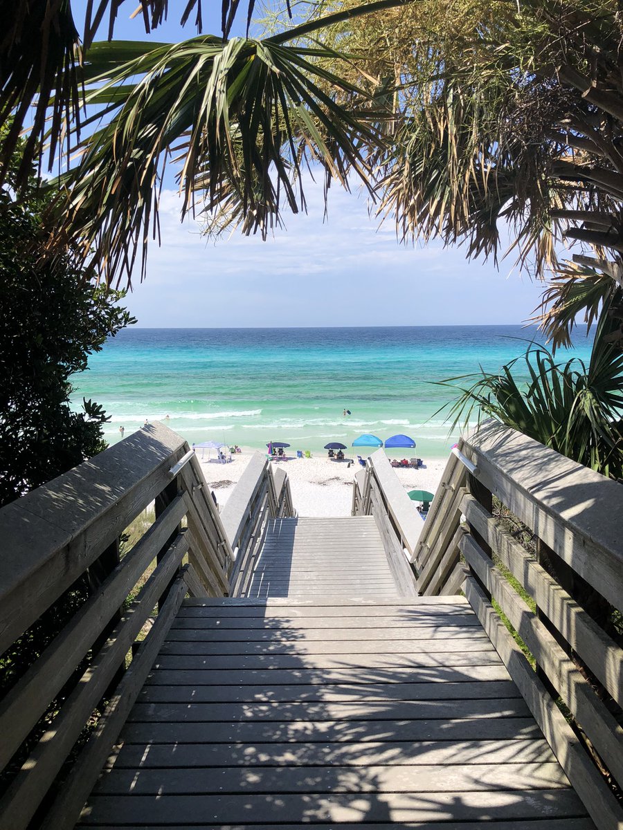 @SouthWalton The best daily walk one could ask for ☀️@SouthWalton