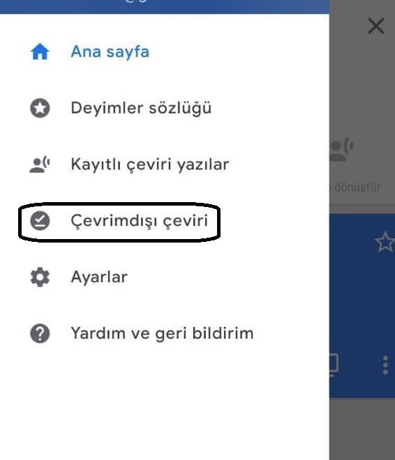 Google Translate'In Bilinmeyen Özellikleri