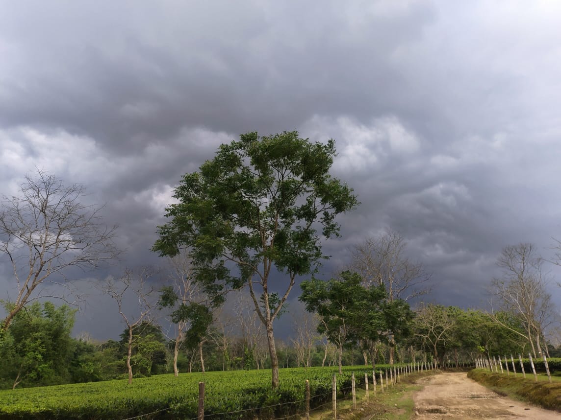 GhoshDebajit's tweet photo. Weather at it best....#namsang #dibrugarh https://t.co/qd3h1VxrKI
