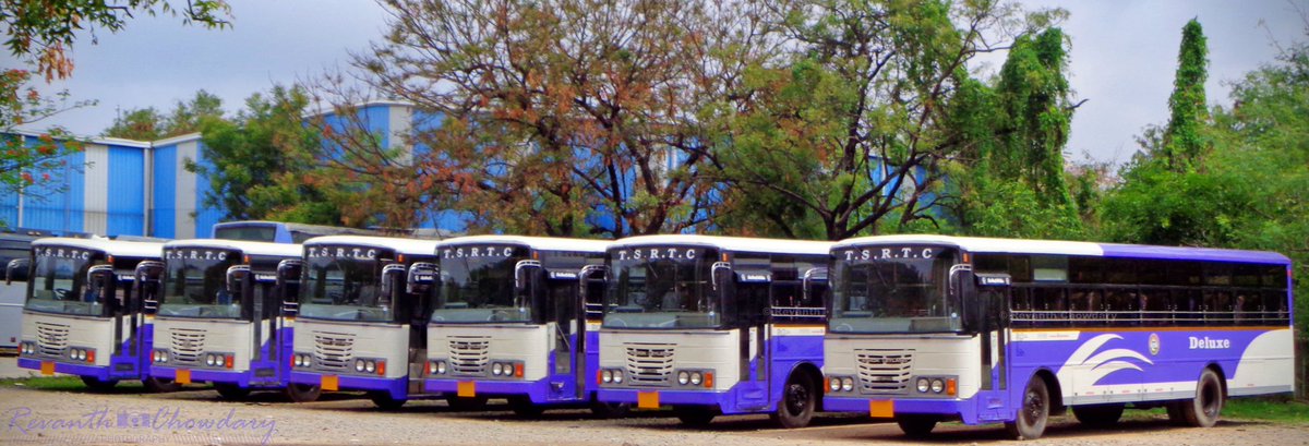 TSRTC's New BS6 TATA & Leyland Deluxe buses 
🟪🟪🟪🟪🟪🟪

#TSRTC #BS6 #Deluxe #Tatamotors #AshokLeyland #publictransport #LoveofZ