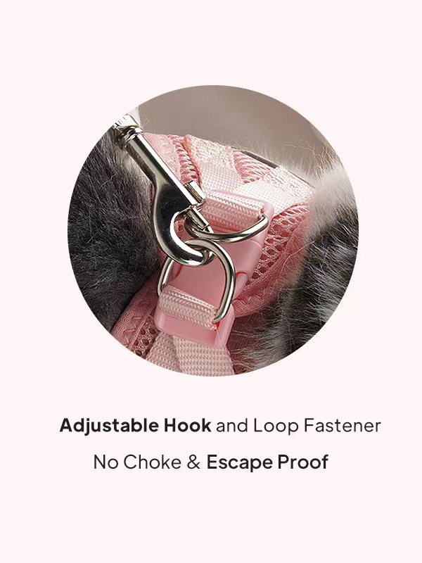 Fidapetus's tweet photo. When traveling outdoors, please do not neglect the safety of your pets.
✅ Fida Step-in Air Mesh Pet Harness
✅ Triple security features: hook and loop fastener, buckle, and double D-rings
✅ Design of reflective strips
#FIDA #catharness #leash #harness #dogharness #catlover https://t.co/9bscO8ZskV