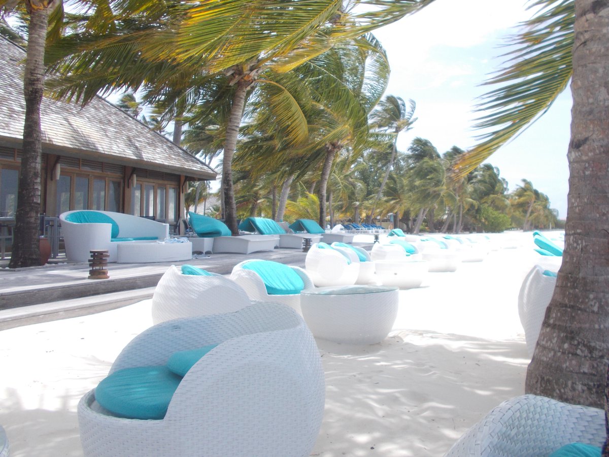 hungryexplorer_'s tweet photo. Finding peace in a white chair by the beach and enjoying the beach in ultimate relaxation. Feel relaxed in pure bliss with an ocean view.

#white #chair #beach #travel #summer #sea #photography #beachlife #ocean #photooftheday #beautiful #vacation #travelphotography #holiday https://t.co/9gEh2KwOOD