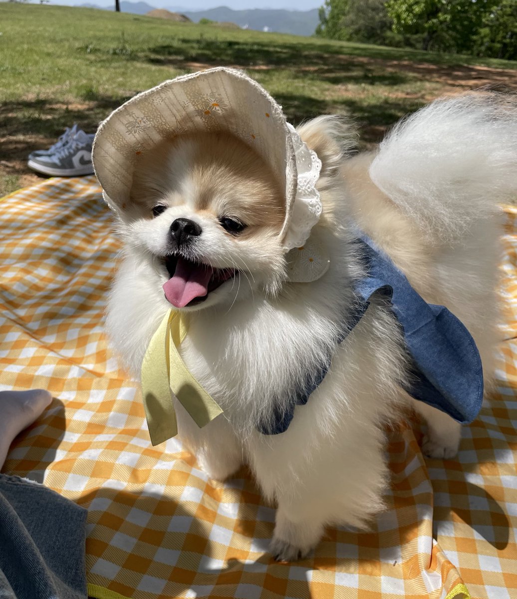 어떤할머니가 호두보고 
이러니까 애를안낳지 
라고하심
ㅋㅋㅋㅋ