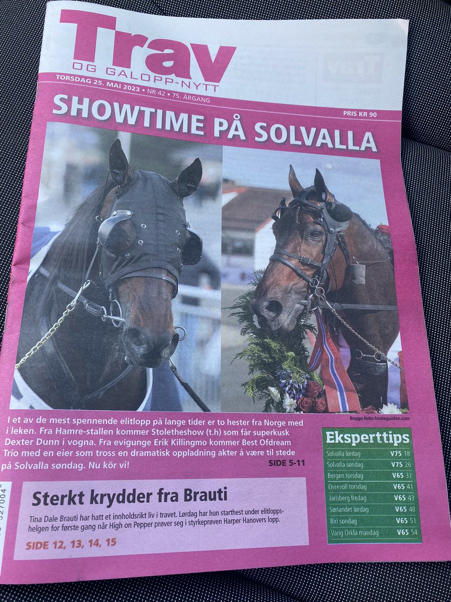 Er herlig lagarbeid bak Elitloppsutgaven til TGN. Vi byr på tips og intervjuer til alle løp på Solvalla lørdag og søndag, samt alt til norske baner denne helgen. Forarbeidet er gjort - nyt løpene 🇳🇴❤️🐴🇸🇪