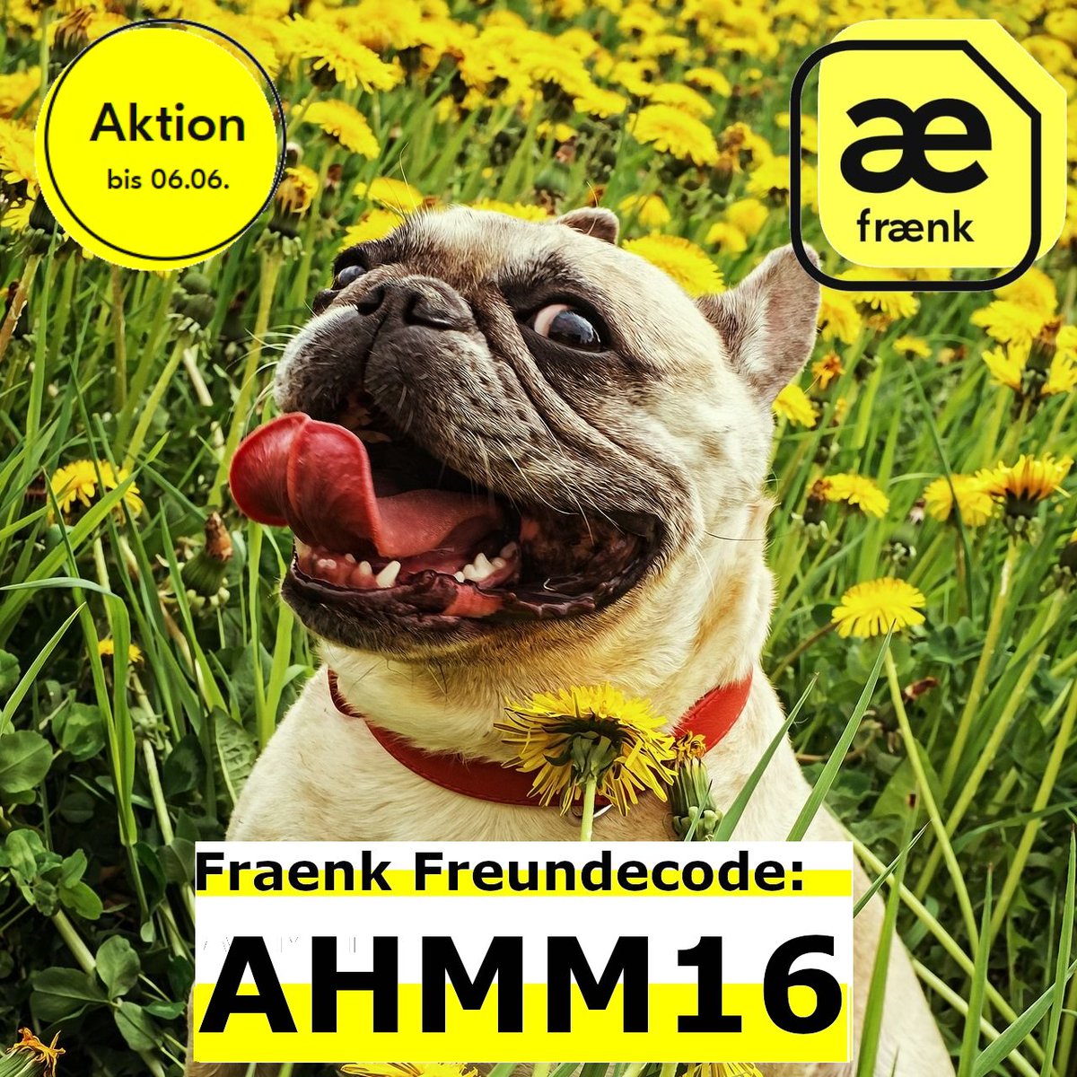 MaidMus's tweet photo. 🌼Mit dem Code AHMM16 gibt es bis zum 6.6.23 10GB statt 7 GB! 🌼

#fraenkforfriends https://t.co/XzvkO8ozKj