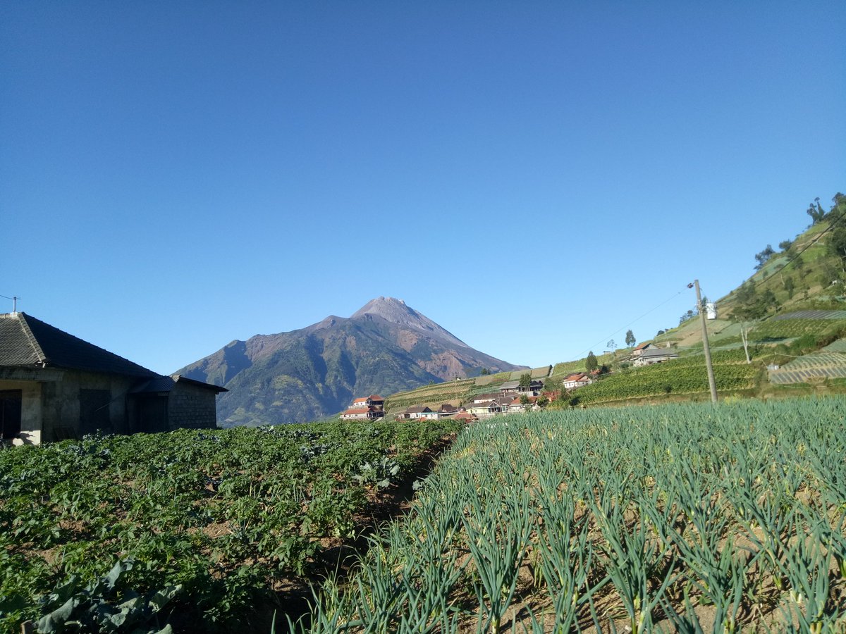 Drop yang hijau² di galeri kalian🍃

#nature #NatureBeauty 
#wildflower #MyPhoto 

   .⋆*ೄ.•*¨*•.🌿🤍🌿.⋆*ೄ.•*¨*•.