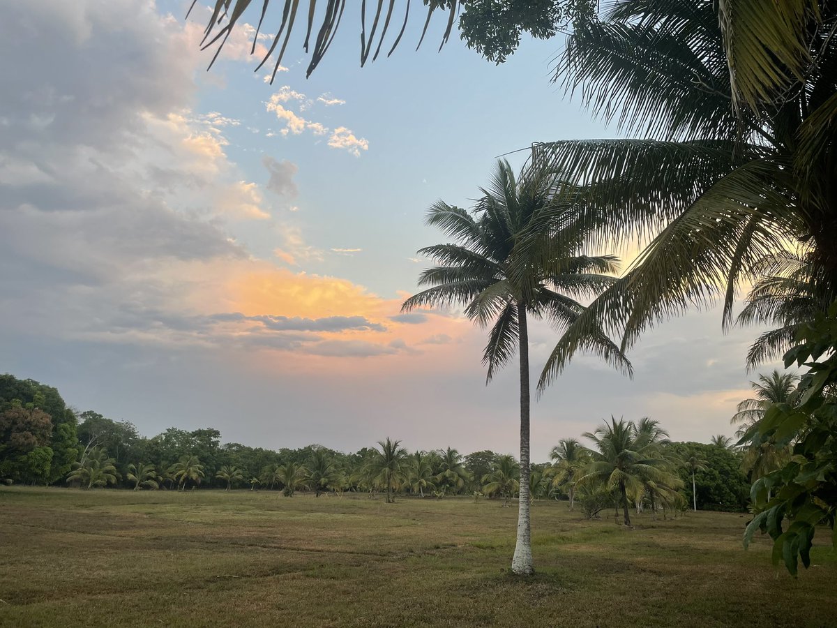 BelizeResortSpa's tweet photo. The Spectacular Hues of the Twilight Sky! No photograph can truly Capture its Magnificence. #sky #skyphotography #twilight #magnificence #belize #tropicalparadise https://t.co/qeyQIUu1Gu
