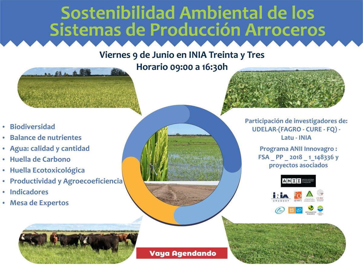 Sostenibilidad Ambiental de los Sistemas de Producción de Arroz. Viernes 9 de junio en @INIA_UY TyT junto a colegas de UdelaR (FQ, FAGRO, CURE), LATU y otras instituciones participantes del programa Innovagro FSA_PP_2018_1_148336  y sus 3 proyectos asociados.