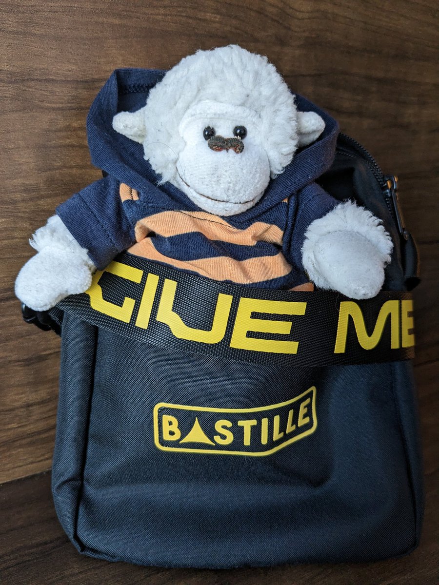MomosAdventures's tweet photo. This #SimianStormer is back and ready to dance to the euphonious tunes of @bastille! Let's get this party started Tucson! @bastilledan @Woodythedrum @willyfarquarson @Kyle_JSimmons @CharlieBarnes https://t.co/zYNjkUxVfv