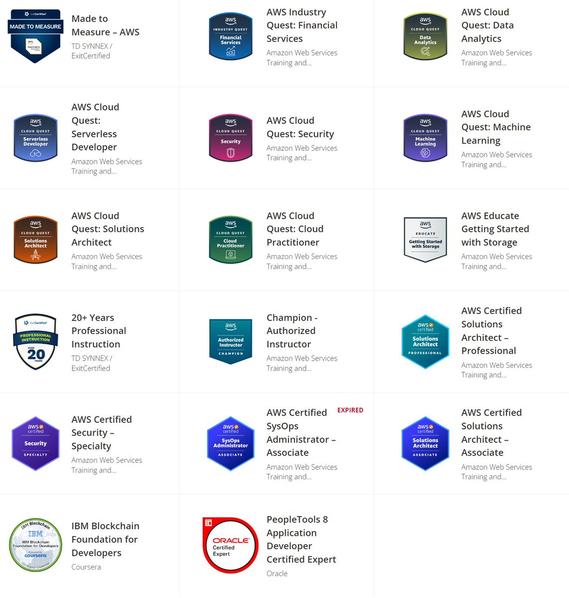 Badges are the IT version of a military fruit salad...