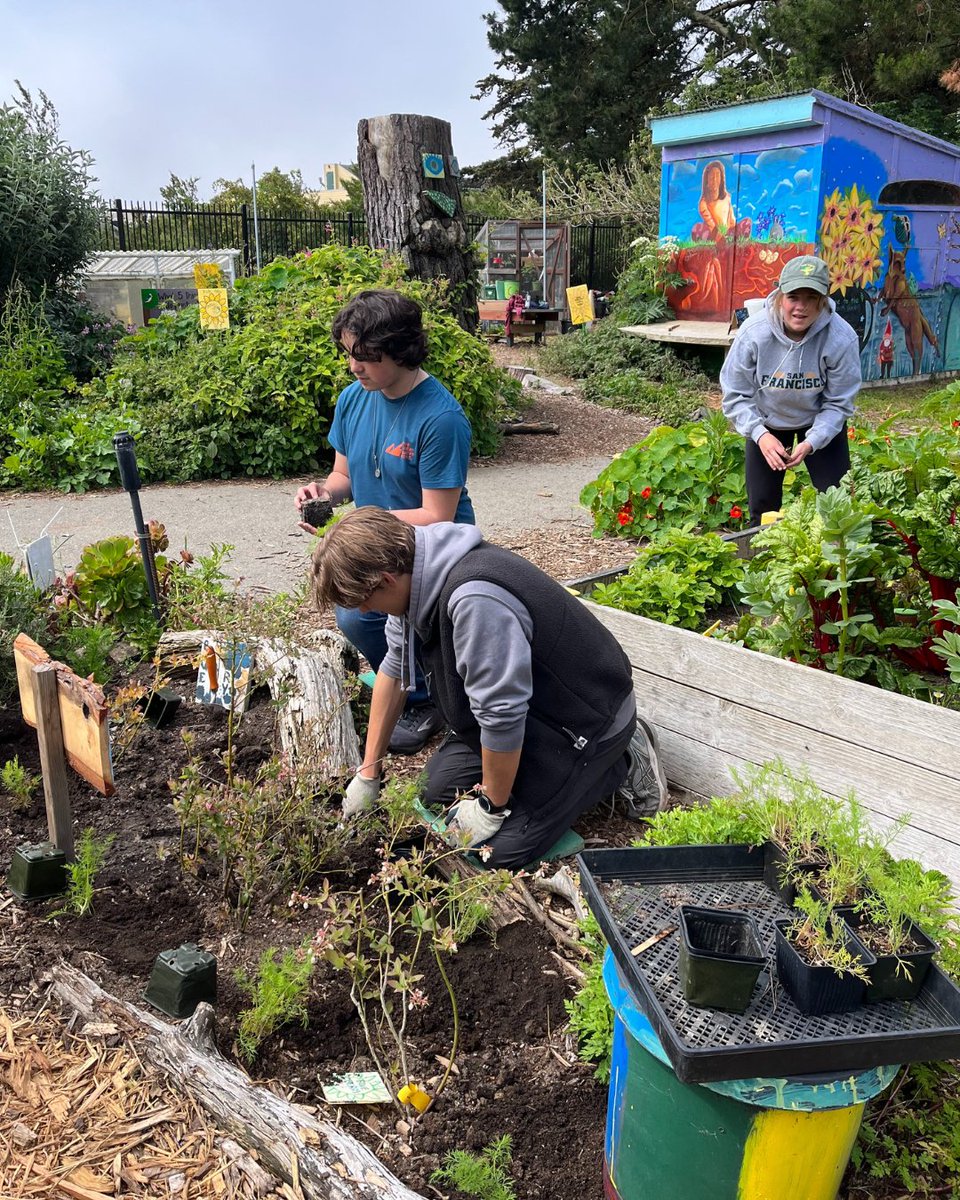 San Francisco Recreation and Park Department tweet media