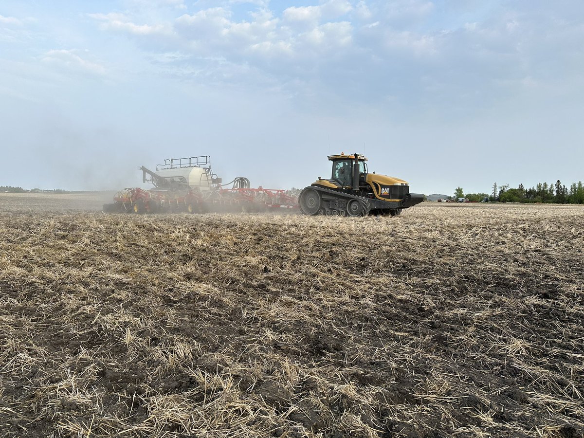 haroldbrownagro's tweet photo. One more #InVigorDST in the books in Arborg, MB. Thanks to Chomokovski Farms for running another trial! Watch for updates through the season. @DChomokovski @BASFAgSolutions https://t.co/sIH8HBVaNg