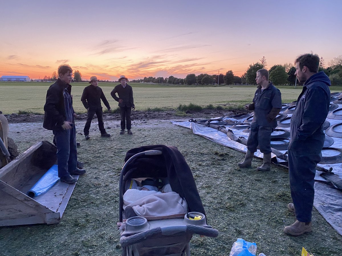 A nice windy night to cover the bunk. Thankful for all of the extra hands.   First cut hay complete ✅