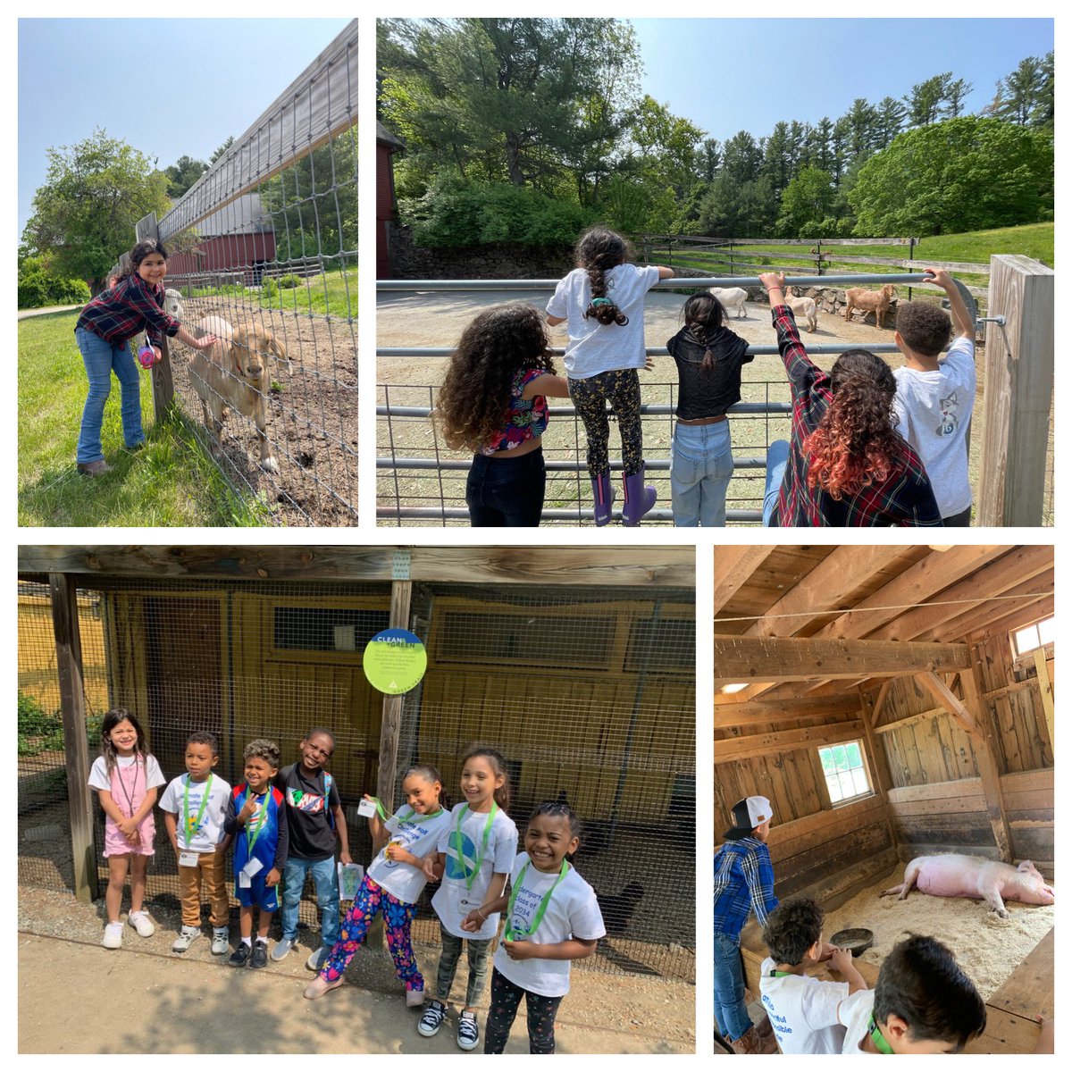 Harmony Grove Elementary School- A Global Academy (@harmonygrovefps) on Twitter photo 1st graders had so much fun visiting Drumlin Farm for a field trip about βLife on the Farm!β π π π π 1st graders had so much fun visiting Drumlin Farm for a field trip about βLife on the Farm!β π π π π