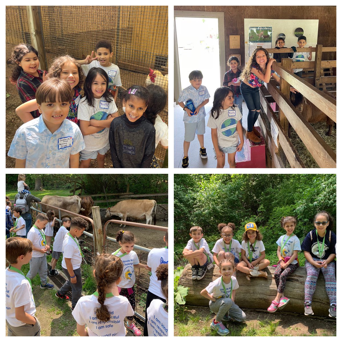 HarmonyGroveFPS's tweet photo. 1st graders had so much fun visiting Drumlin Farm for a field trip about “Life on the Farm!” 🐐 🐖 🐑 🐓 https://t.co/DX0O5mLgiS