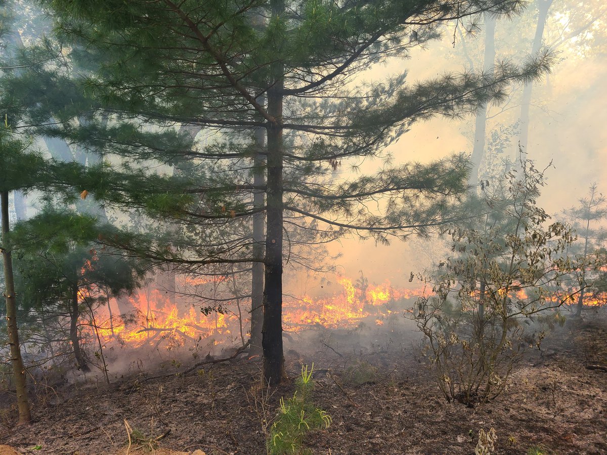 kcoop945's tweet photo. Fire season isn't over yet in Wisconsin! Still can get some Rx fire on the ground before the growing season really takes off. https://t.co/V6QKSPgWTj