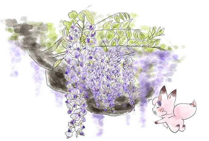 「purple eyes wisteria」 illustration images(Latest)