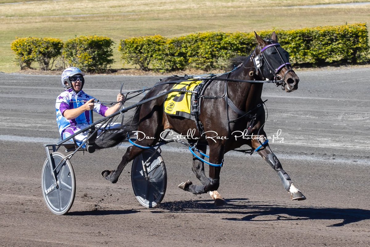 DanRacingWrap's tweet photo. First for the day @redcliffe_hrc &amp; Sweet Rippin runs out an easy winner with @McmullenPeter for trainer @ChantalTurpin @turpinmcmullen picking up a $14,000 QBred bonus for connections @jdonoracing https://t.co/5g7dx36wAG