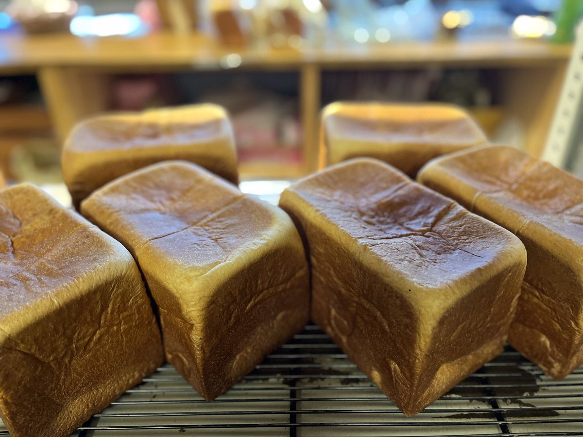 HanpanaitteB's tweet photo. 本日はポイン2倍dayです🍞
天気も晴れてて気持ちいいですね☀️
皆様のご来店お待ちしてます♪ https://t.co/4M0ifgWxVa