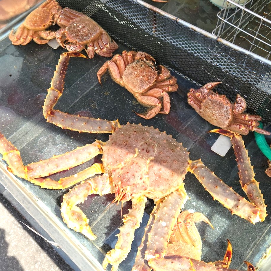 keio_photon's tweet image. BTW, as the chair of the organizing committee, I went to Hakodate last month to check out the conference venue. It&apos;s wonderful! Here are some sneak peeks of Hakodate.