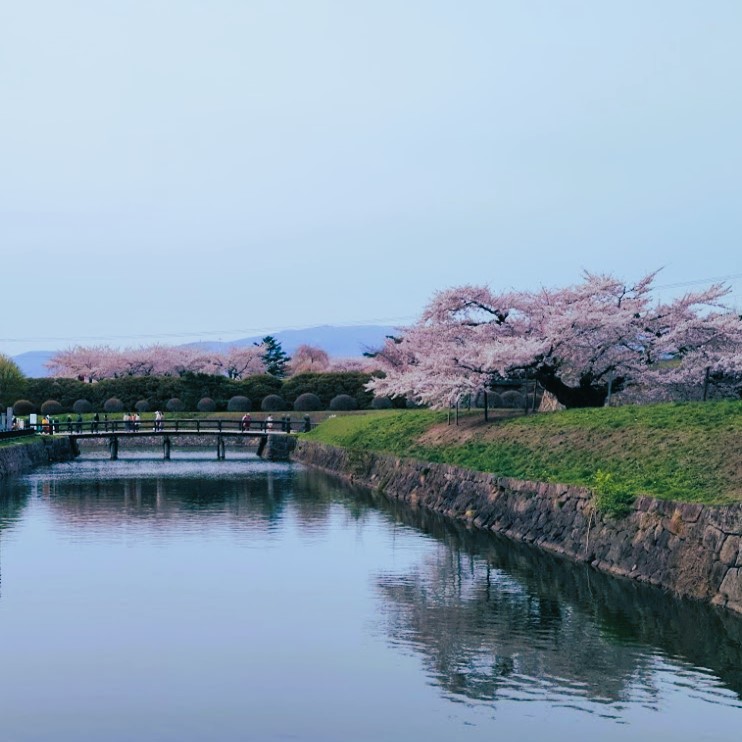 keio_photon's tweet image. A few more.