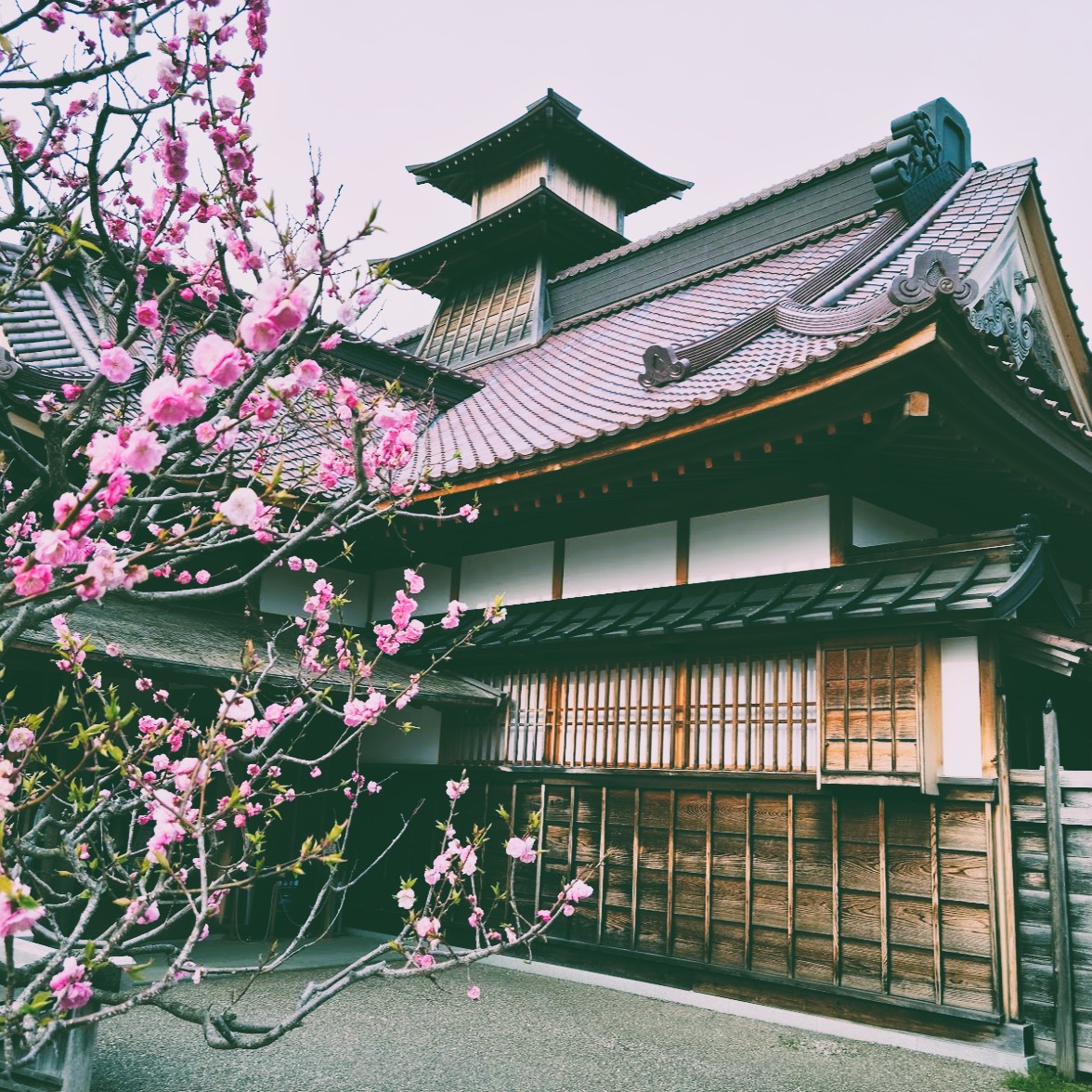 keio_photon's tweet image. A few more.