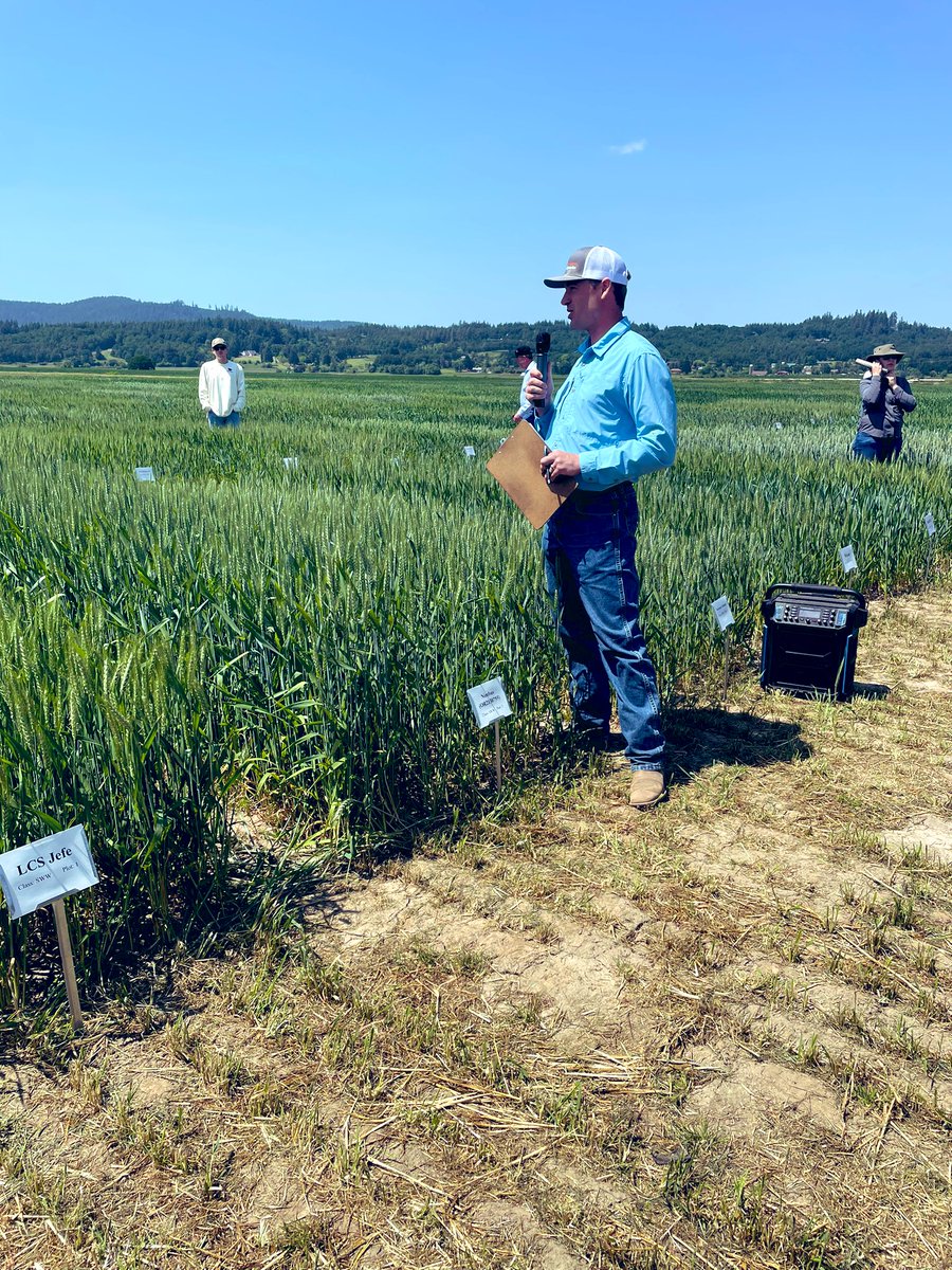 Christina H. Hagerty tweet media