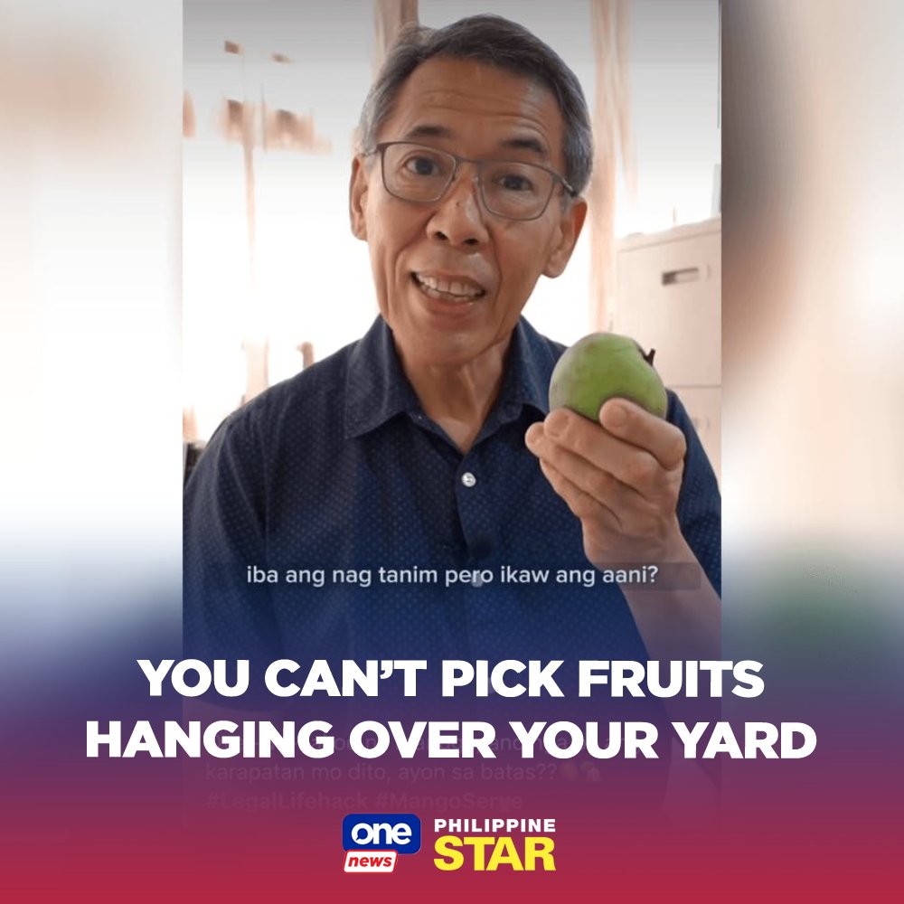 PhilippineStar's tweet photo. It is illegal to pick fruits from a neighbor’s tree even if these are already hanging over someone’s yard, human rights lawyer and Free Legal Assistance Group (FLAG) chairman Jose Manuel “Chel” Diokno said. https://t.co/BgTC49MCKu | via @onenewsph https://t.co/fgONZD3fGG