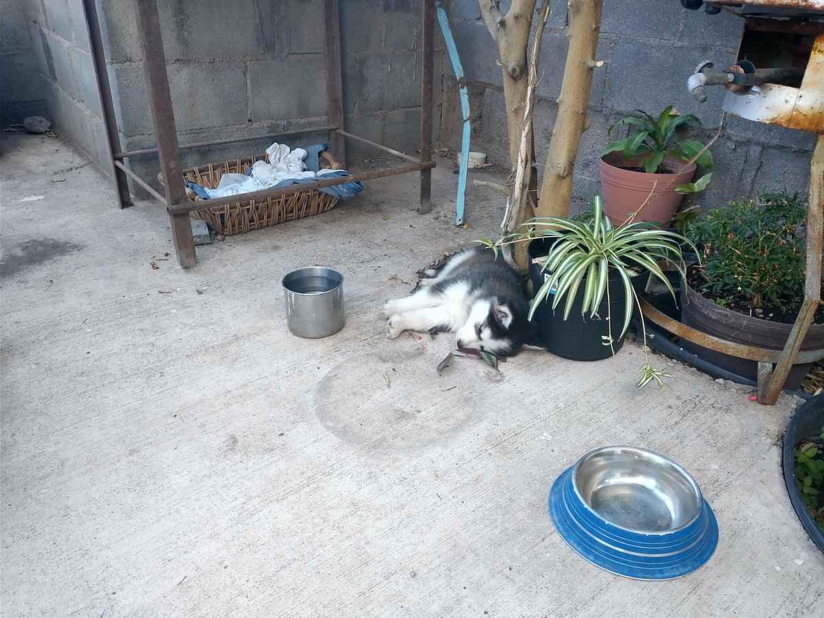 Tr0llvin tweet media