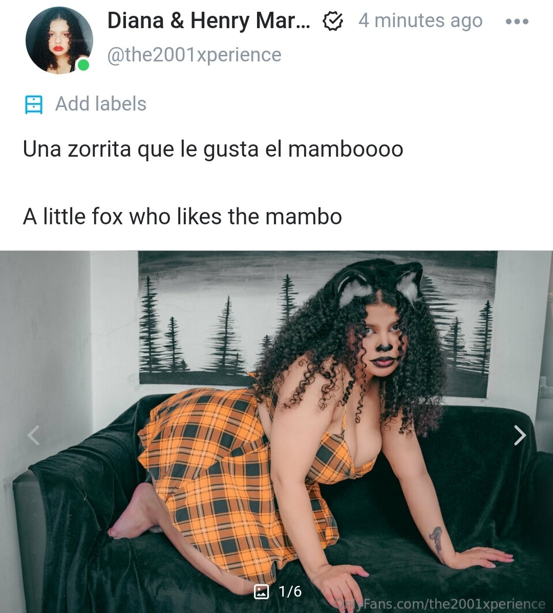2001xperience's tweet photo. Pa' los amantes de los furros, aquí les dejo esta sesión de fotos... Mañana y pasado estaré publicando más fotitos de esta sesión, espero lo disfrutes ❤️

https://t.co/a0vibPRM1T https://t.co/3S4WutNhFb