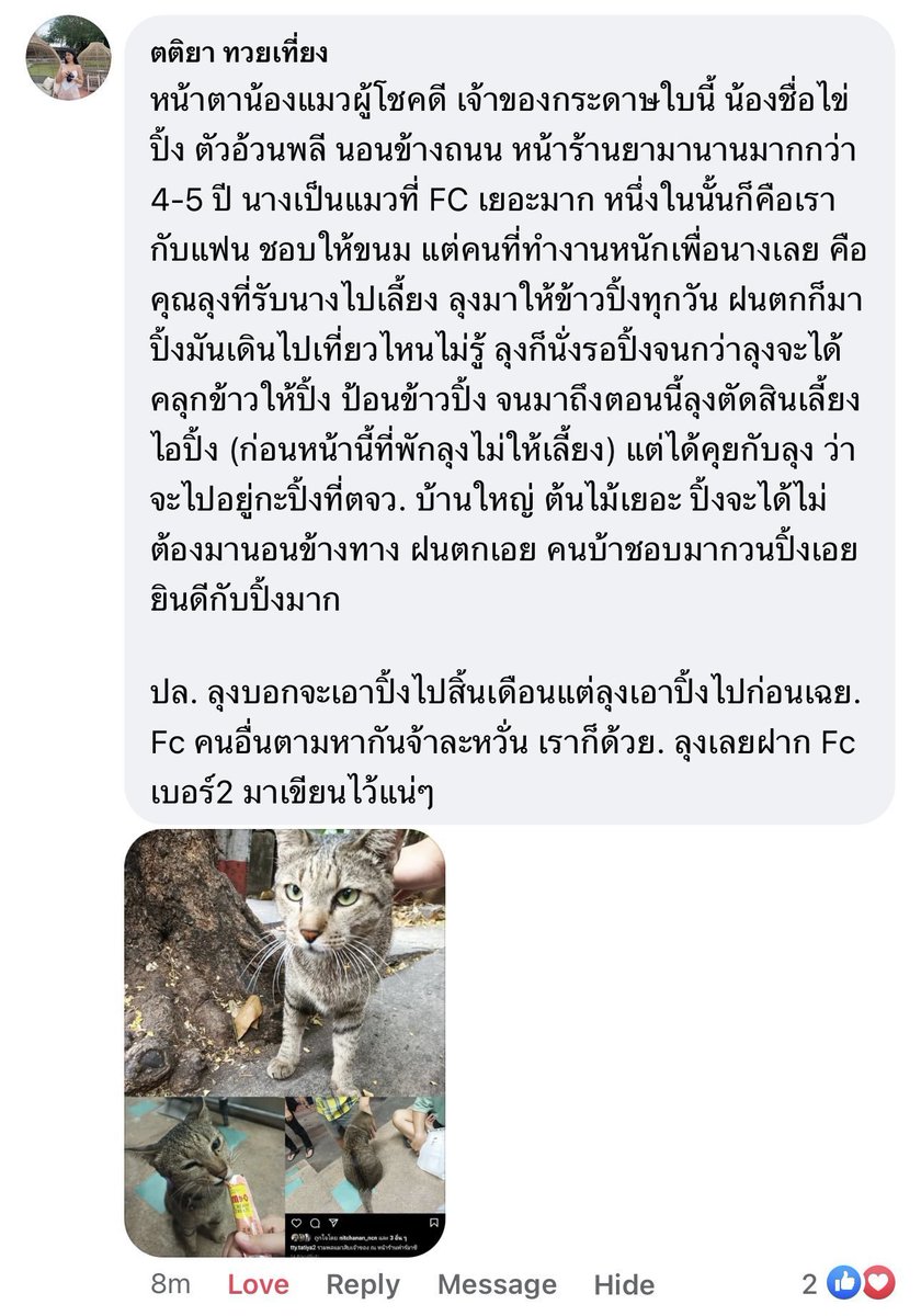 buthatebinus's tweet photo. มีทางเพจส่งมาให้ดู ตัวนี้เลยยยย พึ่งรู้ว่าชื่อไข่ปิ้ง ;-; ไปอยู่บ้านใหม่อย่าดื้ออย่าซนนะไข่ปิ้ง ขอให้แข็งแรงๆ ทั้งไข่ปิ้งทั้งคุณลุงที่รับไปเลี้ยงเลยยย😭 https://t.co/v5ArdOmguH