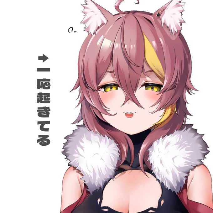 おはすな～0o(ーωー*) 6月が近づいてきてなんだかじっとり…湿度がダメなチベスナにはつらい時期がきてしまった…Zzz 今日は21:00からイラスト配信やる予定!! よろすなー!! #おはようVtuber