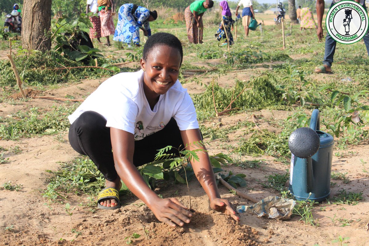 WepTogo's tweet photo. @WEP-TOGO poursuit les activités à Sokode. 
Cette journée du 24 mai 2023 a été marquée par la création d'un espace vert dans la ville de Sokode sur 1 hectare avec 500 plants mis à terre. 
@CDN
@ODD
@OIFrancophonie https://t.co/5HwjVRnWJ3